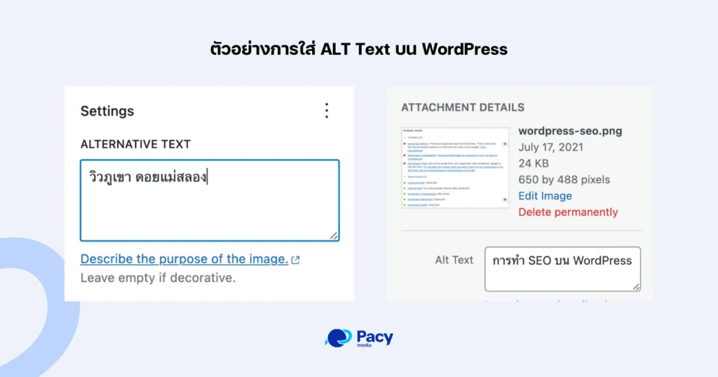ตัวอย่าง alt text​ โดย pacy media