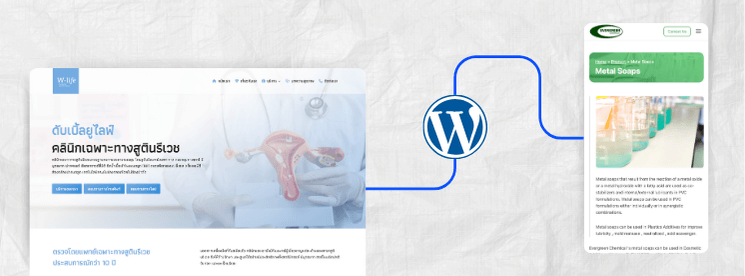 เว็บไซต์ WordPress แบบ Informative